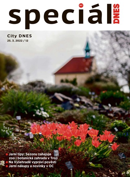 E-magazín Magazín DNES SPECIÁL Praha - 25.3.2022 - MAFRA, a.s.