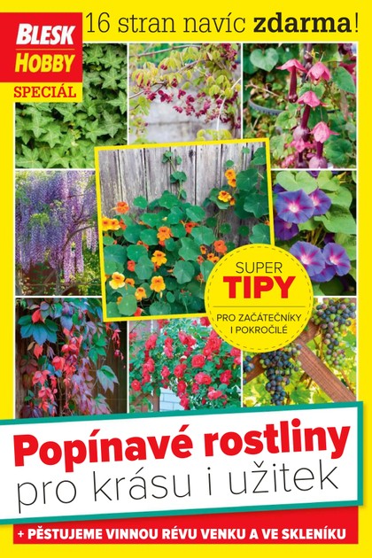 E-magazín Příloha Blesk Hobby - 4/2022 - CZECH NEWS CENTER a. s.