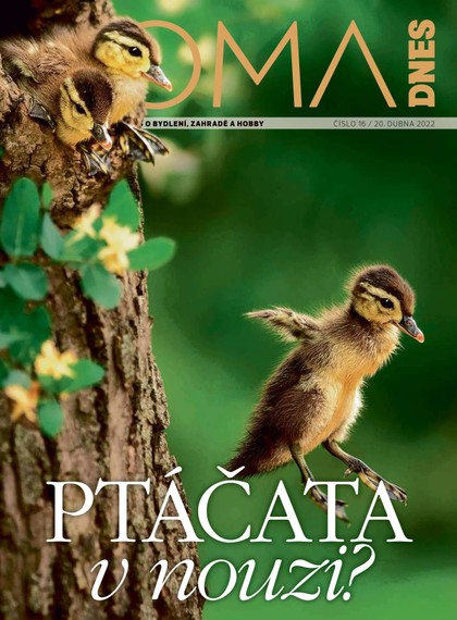 E-magazín DOMA DNES - 20.4.2022 - MAFRA, a.s.