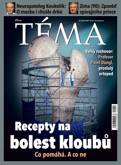 E-magazín TÉMA DNES - 20.5.2022 - MAFRA, a.s.
