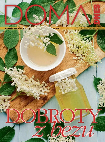 E-magazín DOMA DNES - 1.6.2022 - MAFRA, a.s.