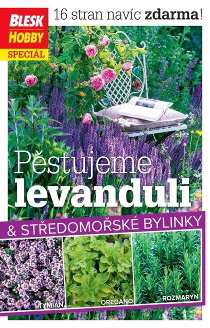 E-magazín Příloha BLESK HOBBY - 06/2022 - CZECH NEWS CENTER a. s.