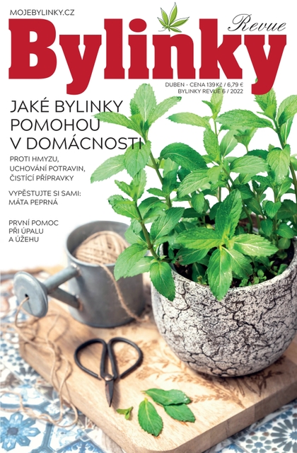 E-magazín Bylinky 6/22 - BYLINKY REVUE, s. r. o.