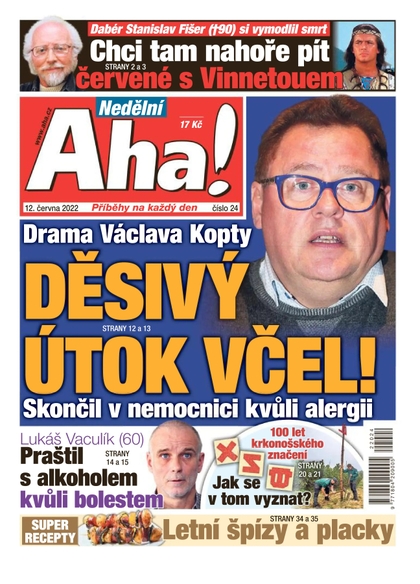 E-magazín Nedělní Aha! - 12.6.2022 - CZECH NEWS CENTER a. s.