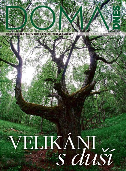 E-magazín DOMA DNES - 13.7.2022 - MAFRA, a.s.