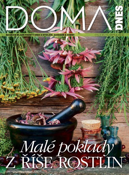 E-magazín DOMA DNES - 10.8.2022 - MAFRA, a.s.