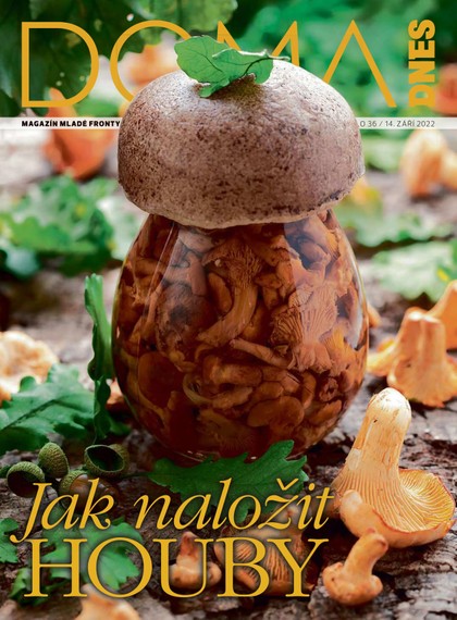 E-magazín DOMA DNES - 14.9.2022 - MAFRA, a.s.