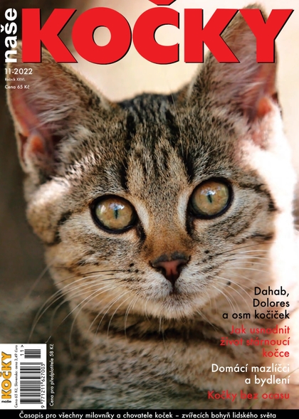 E-magazín Naše kočky, 11-2022 - Nakladatelství Minerva CZ, s. r. o.