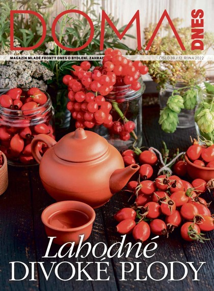E-magazín DOMA DNES - 12.10.2022 - MAFRA, a.s.
