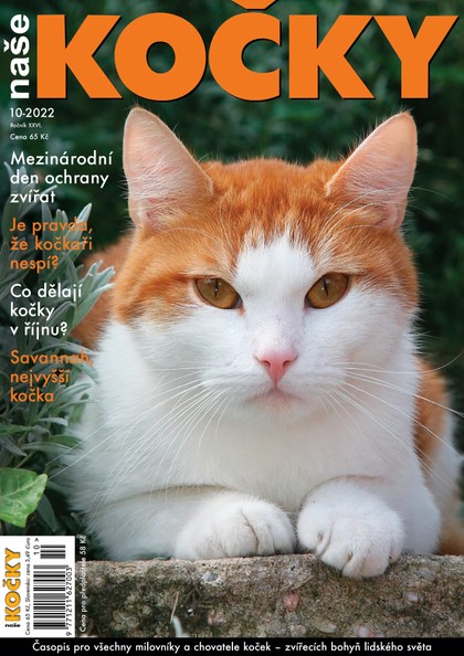 E-magazín Naše kočky, 10-2022 - Nakladatelství Minerva CZ, s. r. o.