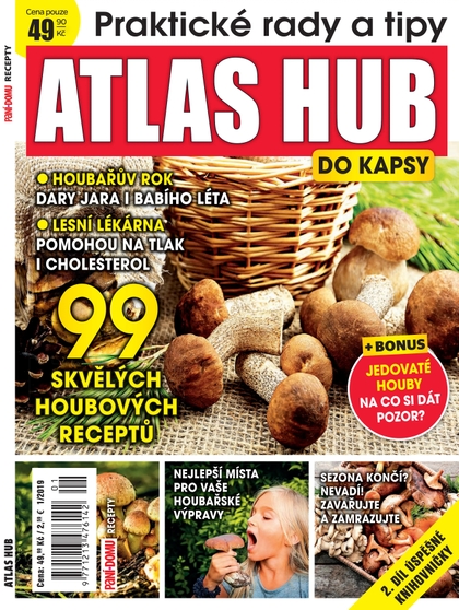 E-magazín Knihovnička Paní domu - Atlas hub 1/19 - RF Hobby