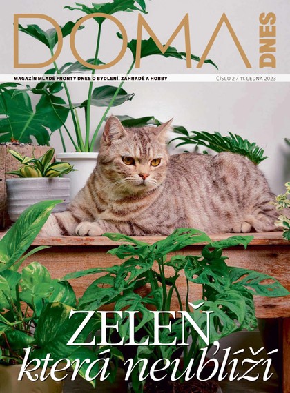 E-magazín DOMA DNES - 11.1.2023 - MAFRA, a.s.