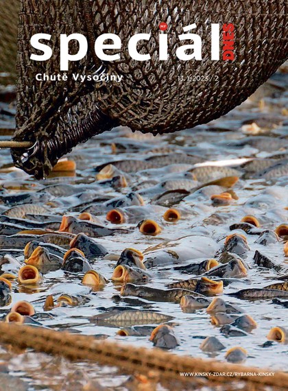 E-magazín Magazín DNES Speciál - 13.1.2023 - MAFRA, a.s.