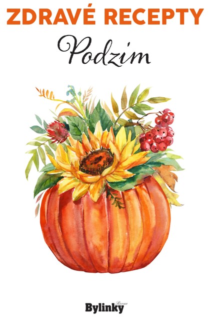 E-magazín Zdravé recepty 9-10/2020 - BYLINKY REVUE, s. r. o.