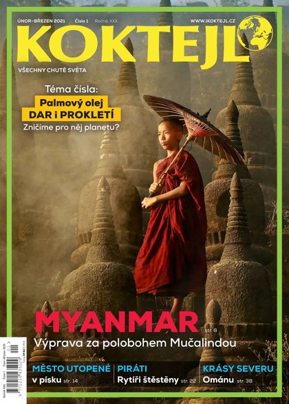 E-magazín Koktejl 1/2021 - Czech Press Group Koktejl