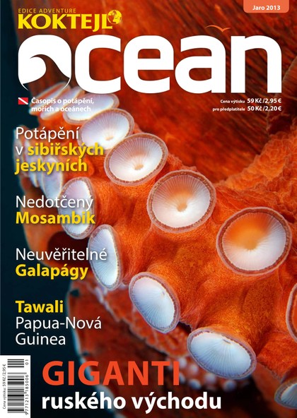 E-magazín Oceán jaro 2013 - Czech Press Group Koktejl