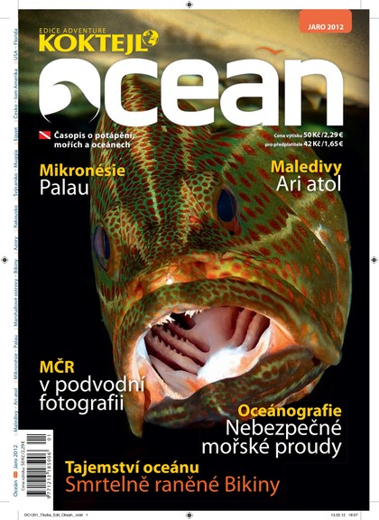 E-magazín Oceán jaro 2012 - Czech Press Group Koktejl