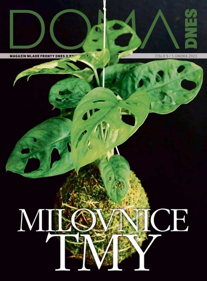 E-magazín DOMA DNES - 1.2.2023 - MAFRA, a.s.