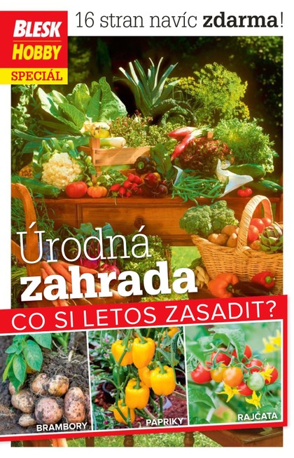 E-magazín Příloha BLESK HOBBY - 02/2023 - CZECH NEWS CENTER a. s.