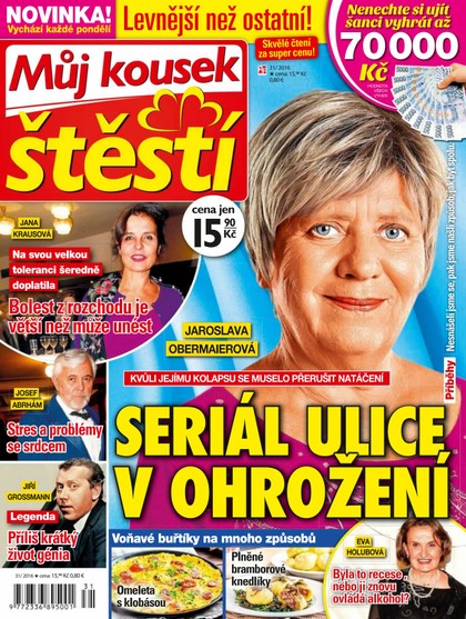 E-magazín Můj kousek štěstí 31/16 - RF Hobby
