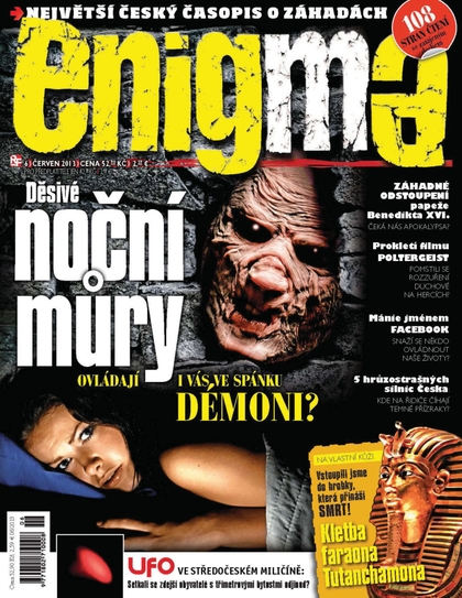 E-magazín Enigma 6/13 - RF Hobby