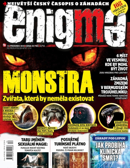 E-magazín Enigma 12/18 - RF Hobby