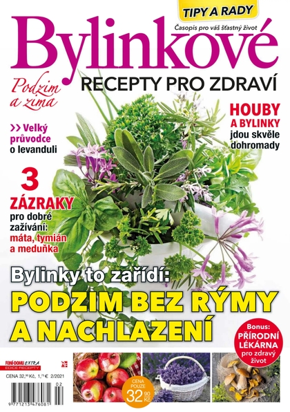 E-magazín Bylinkové recepty 2/21 - RF Hobby