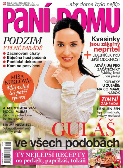E-magazín Paní domu 11/12 - RF Hobby