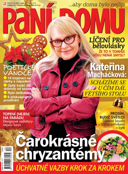 E-magazín Paní domu 12/14 - RF Hobby