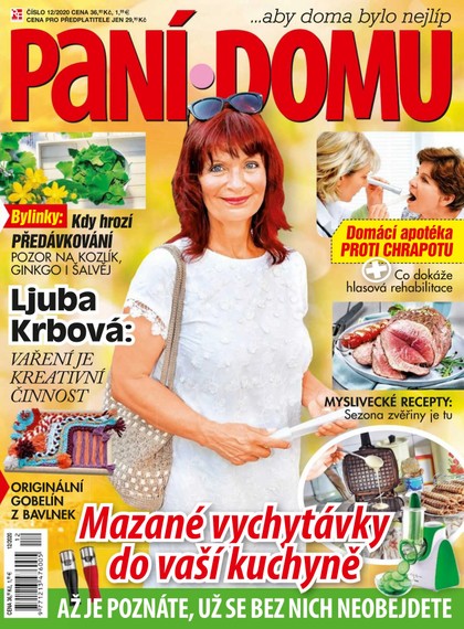 E-magazín Paní domu 12/20 - RF Hobby
