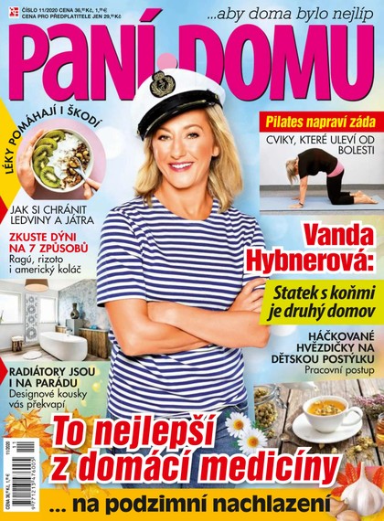 E-magazín Paní domu 11/20 - RF Hobby