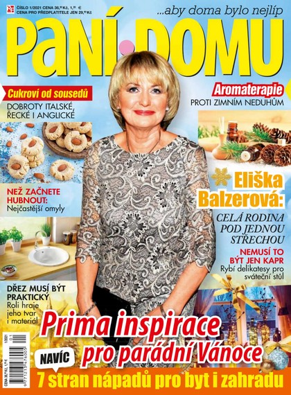 E-magazín Paní domu 1/21 - RF Hobby