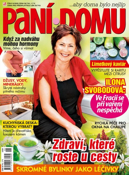 E-magazín Paní domu 6/20 - RF Hobby