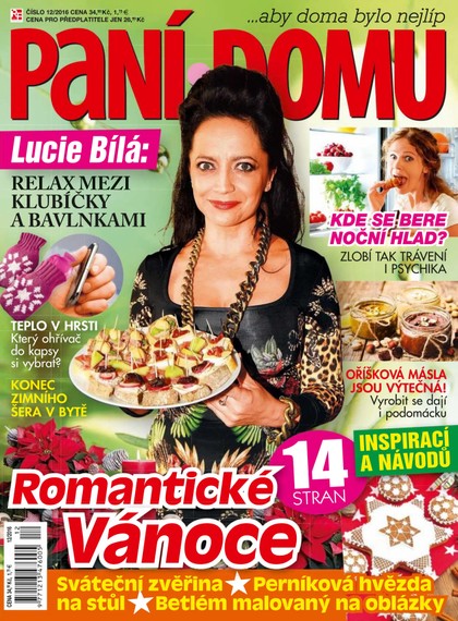 E-magazín Paní domu 12/16 - RF Hobby