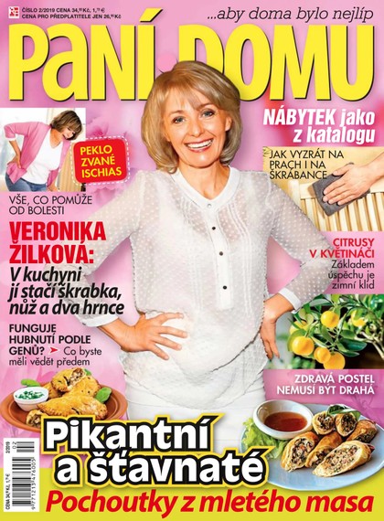 E-magazín Paní domu 2/19 - RF Hobby