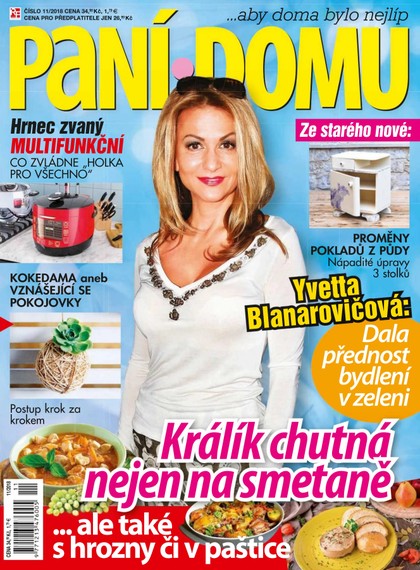 E-magazín Paní domu 11/18 - RF Hobby