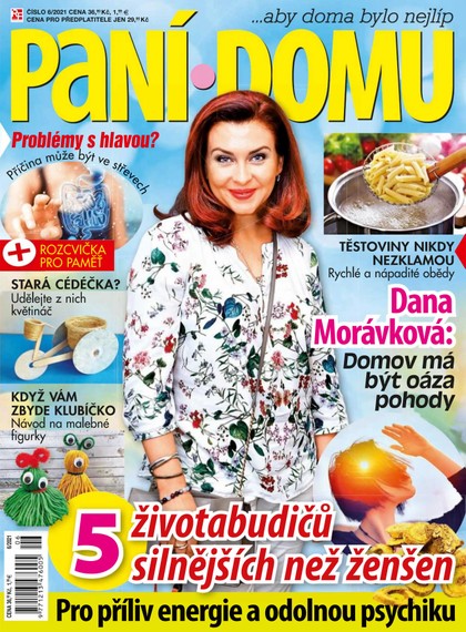 E-magazín Paní domu 6/21 - RF Hobby