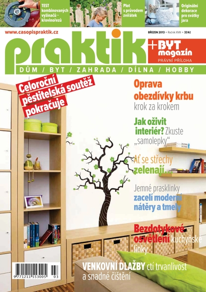 E-magazín PRAKTIK & příloha Byt magazín 3/2013 - Pražská vydavatelská společnost