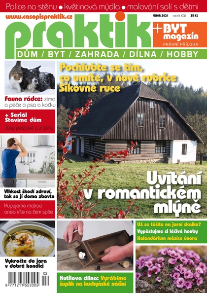 E-magazín PRAKTIK & příloha Byt magazín 2/2021 - Pražská vydavatelská společnost