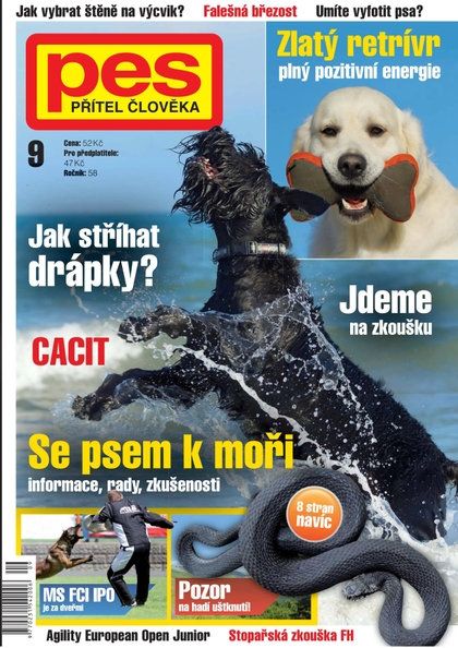 E-magazín Pes přítel člověka 9/2013 - Pražská vydavatelská společnost