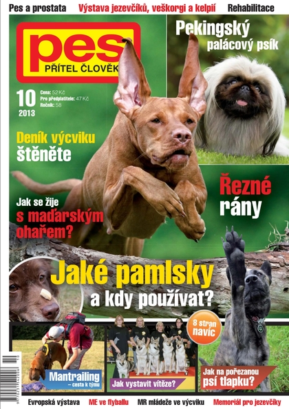 E-magazín Pes přítel člověka 10/2013 - Pražská vydavatelská společnost