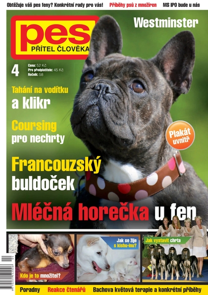 E-magazín Pes přítel člověka 4/2013 - Pražská vydavatelská společnost