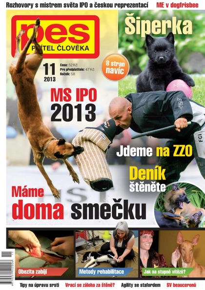 E-magazín Pes přítel člověka 11/2013 - Pražská vydavatelská společnost