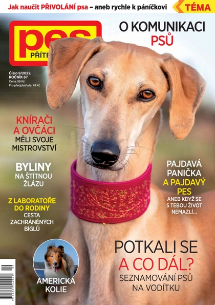 E-magazín Pes přítel člověka 9/2022 - Pražská vydavatelská společnost