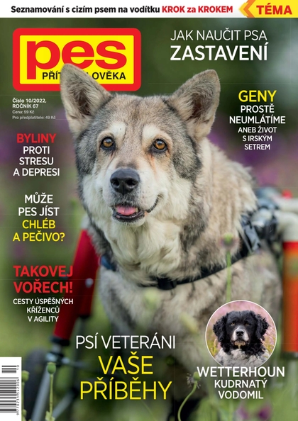 E-magazín Pes přítel člověka 10/2022 - Pražská vydavatelská společnost