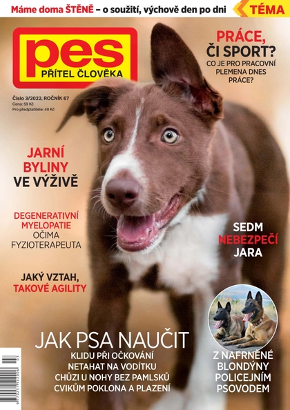 E-magazín Pes přítel člověka 3/2022 - Pražská vydavatelská společnost