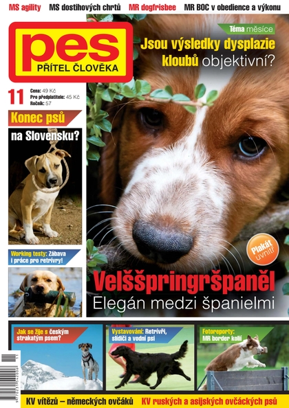 E-magazín Pes přítel člověka 11/2012 - Pražská vydavatelská společnost