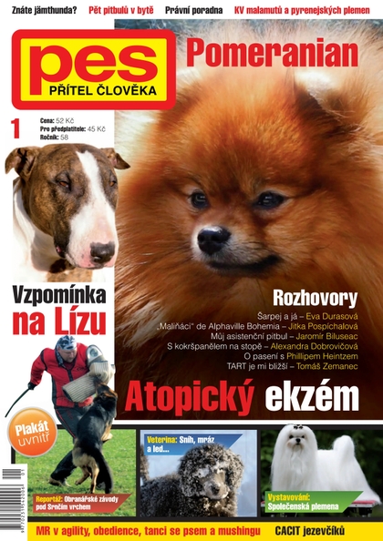 E-magazín Pes přítel člověka 1/2013 - Pražská vydavatelská společnost