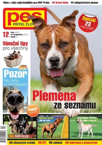 E-magazín Pes přítel člověka 12/2012 - Pražská vydavatelská společnost