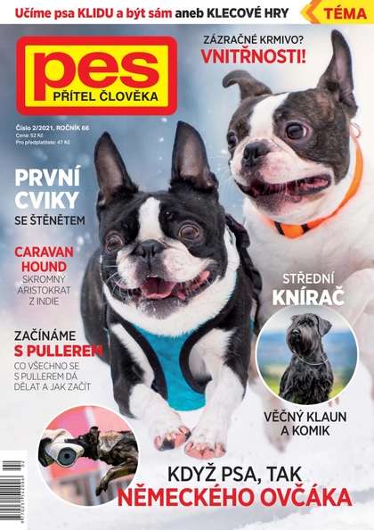 E-magazín Pes přítel člověka 2/2021 - Pražská vydavatelská společnost